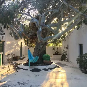 Patio Ii At La Asomada (Lanzarote)