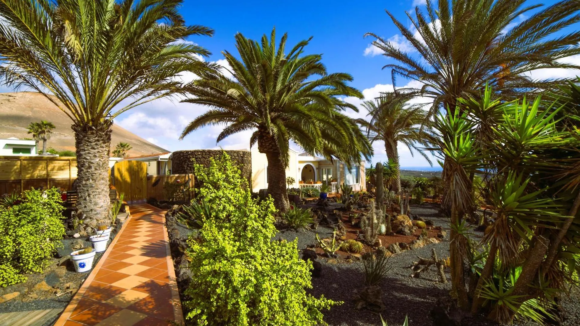 Apartment Madora - Sea View - Amazing Garden - Quiet Location - Bodegas & Hiking Trails Nearby La Asomada