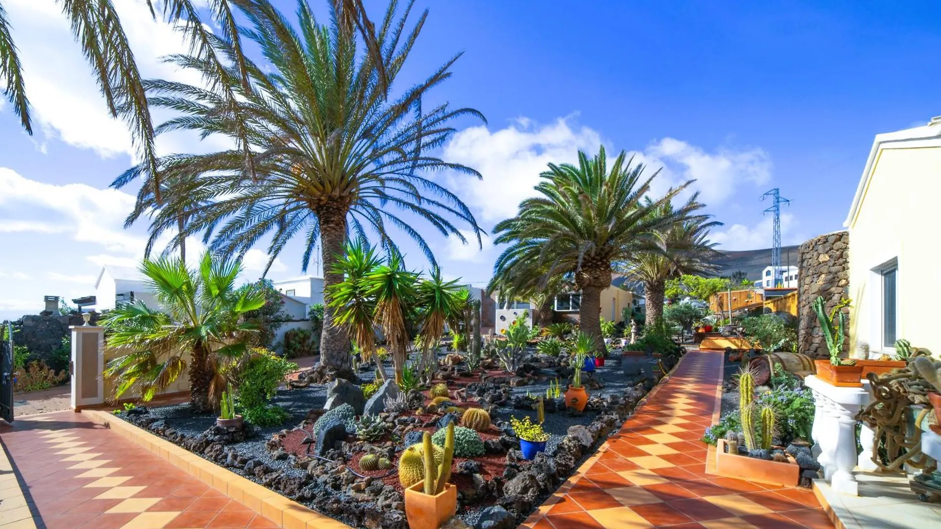 Apartment Madora - Sea View - Amazing Garden - Quiet Location - Bodegas & Hiking Trails Nearby La Asomada  0*, La Asomada (Lanzarote) Spain