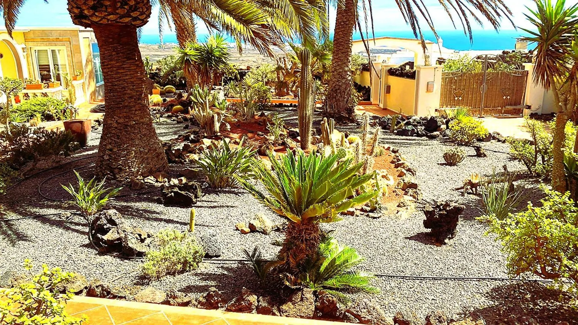 Apartment Madora - Sea View - Amazing Garden - Quiet Location - Bodegas & Hiking Trails Nearby La Asomada